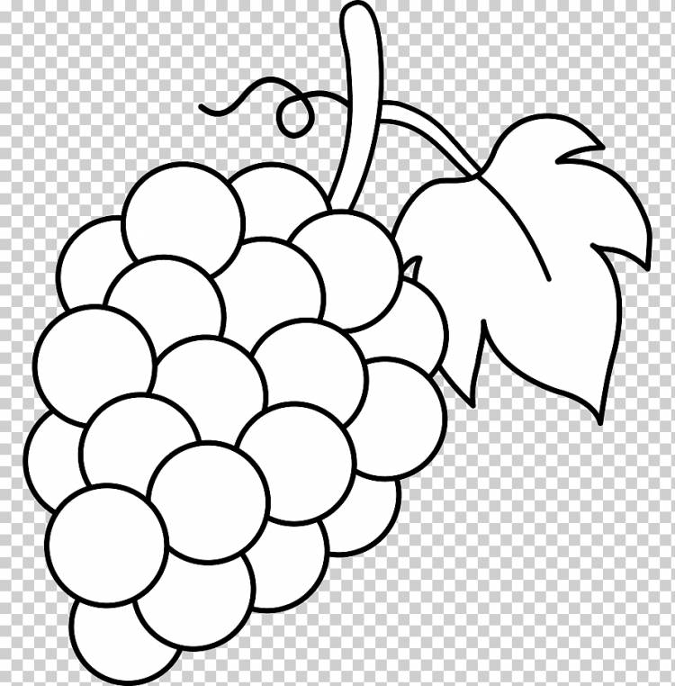 Виноградный Виноградный Вино, Виноградный Лист с, белый, лист, ветка png