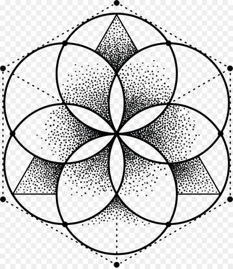 Раскрась цветными карандашами цветы из окружностей. Цветок жизни Сакральная геометрия вектор. Центрический геометрический орнамент. Мандала 9 лепестков. Мандала Сакральная геометрия.