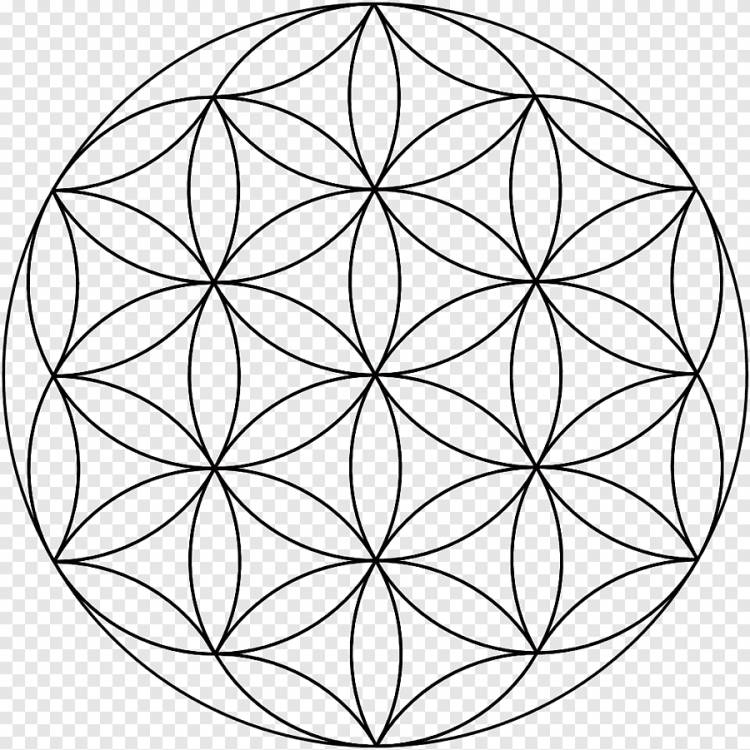 Сетка перекрывающихся кругов Сакральная геометрия Витрувианский Человек, круг, лист, монохромный png