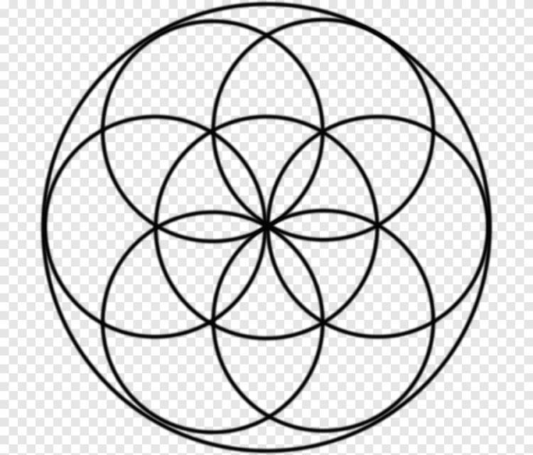 Сакральная геометрия Сетка перекрывающихся кругов, символ, разное, угол png