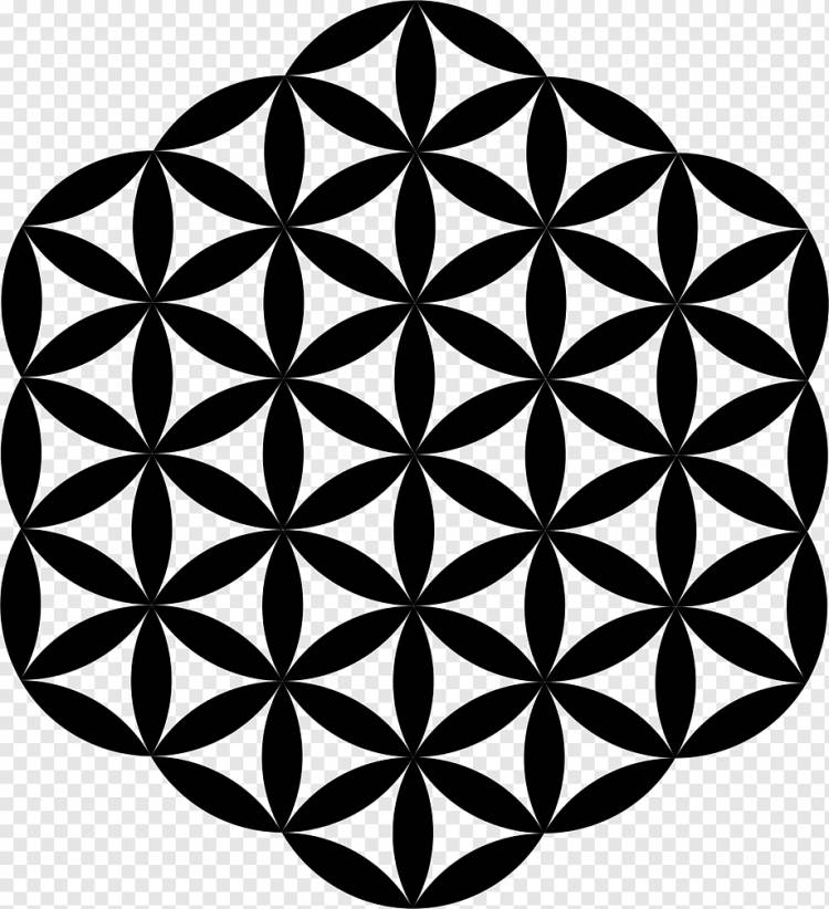 Сетка перекрывающихся кругов Сакральная геометрия, абстрактный узор, угол, треугольник, симметрия png