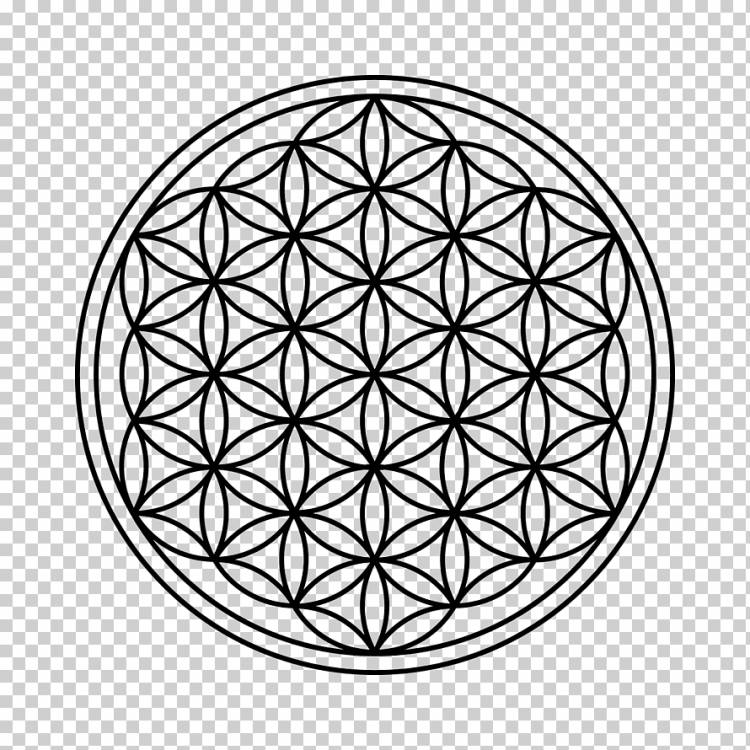 Витрувианский человек Сакральная геометрия Перекрывающиеся круги сетка, круг, угол, треугольник, монохромный png