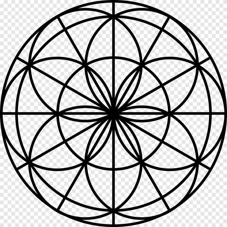 Сакральная геометрия Мандала Перекрывающиеся круги сетка Арт, круг Геометрия, лист, другие png
