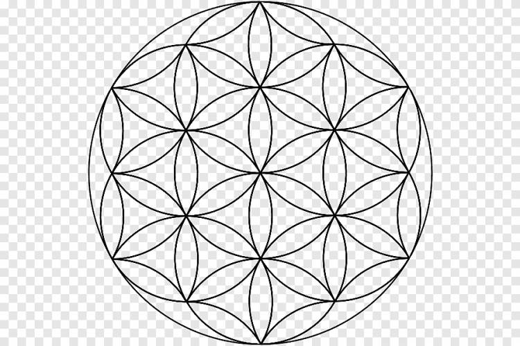 Сетка перекрывающихся кругов Сакральная геометрия Мандала, круг, png