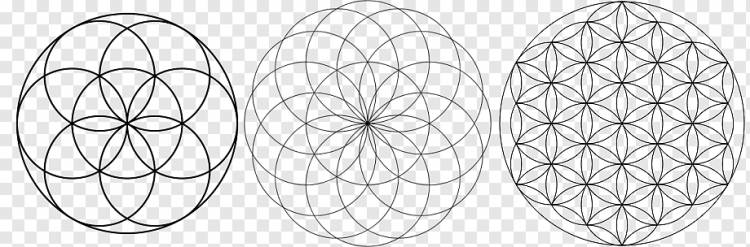 Сакральная геометрия Сетка перекрывающихся кругов Символ, символ, разное, треугольник, монохромный png