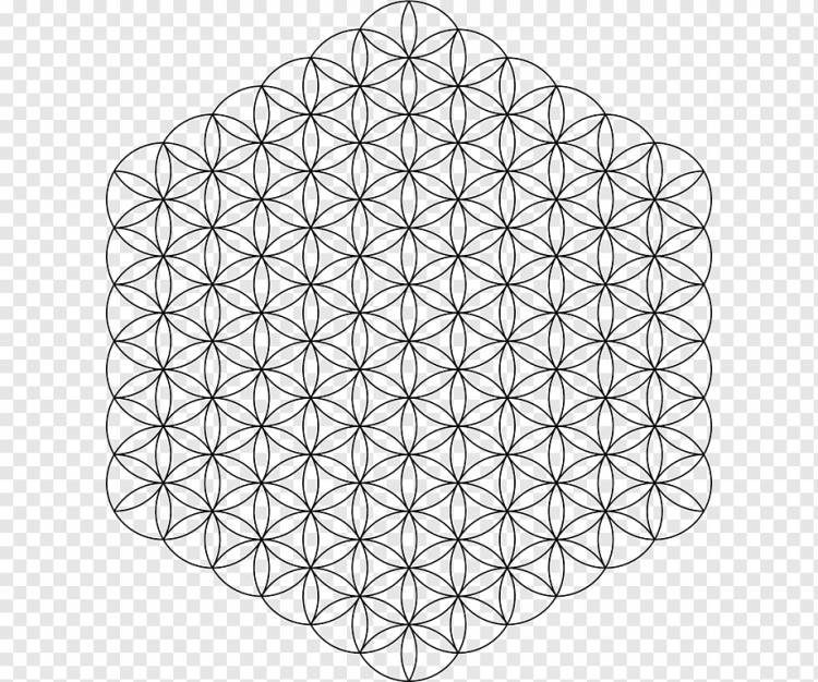 Сетка перекрывающихся кругов Сакральная геометрия Узор, круг, угол, прямоугольник, треугольник png