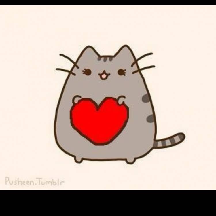 Котик с сердечком рисунок для срисовки
