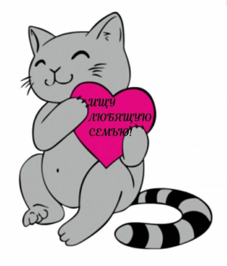 Кот с сердечком рисунок