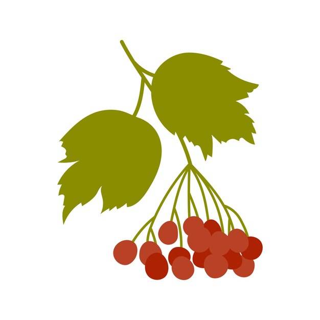 Иллюстрация калины день благодарения осенний природный декоративный элемент ягодная ветвь с листьями