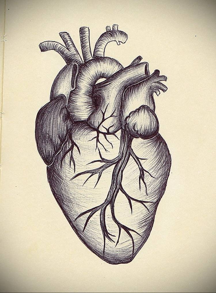 Сердце нарисованное настоящее
