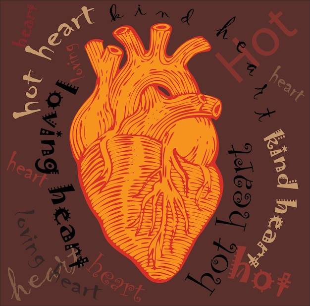 Сердце в стиле анатомического рисунка с надписями доброе теплое любящее сердце