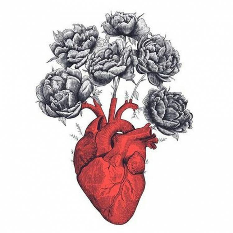 Нарисованное человеческое сердце