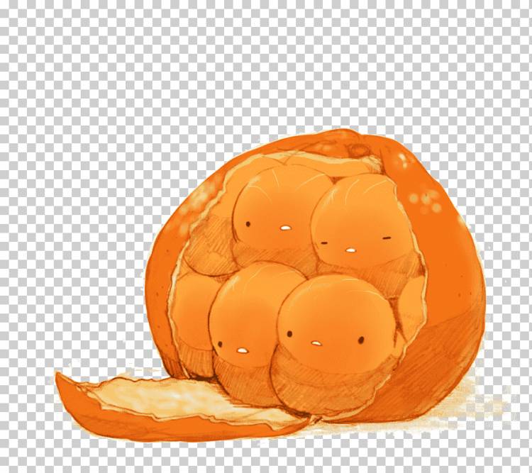 Мандарин оранжевая иллюстрация шаржа, оранжевая курица, еда, нарисованный, животные png