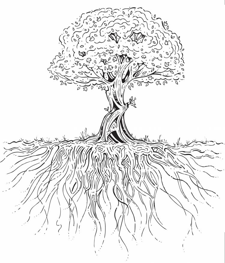 Нарисованное дерево с корнями