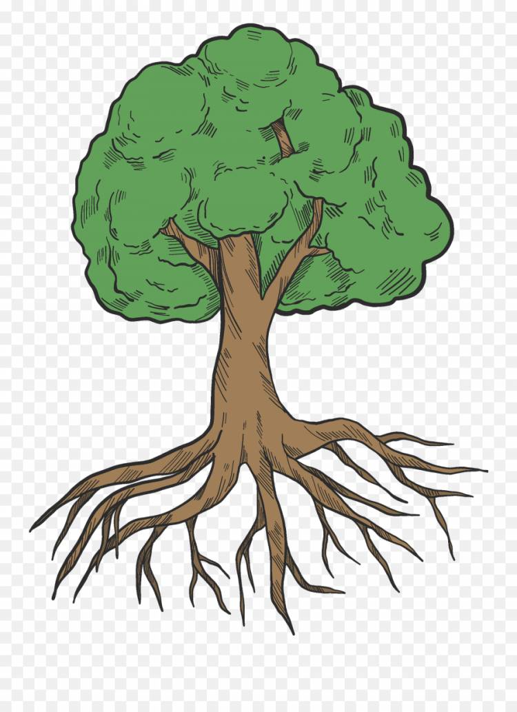 Корни дерева. Дерево с корнями мультяшное. Дерево с корнями на прозрачном фоне. Нарисовать дерево с корнями. Корни картинка для детей