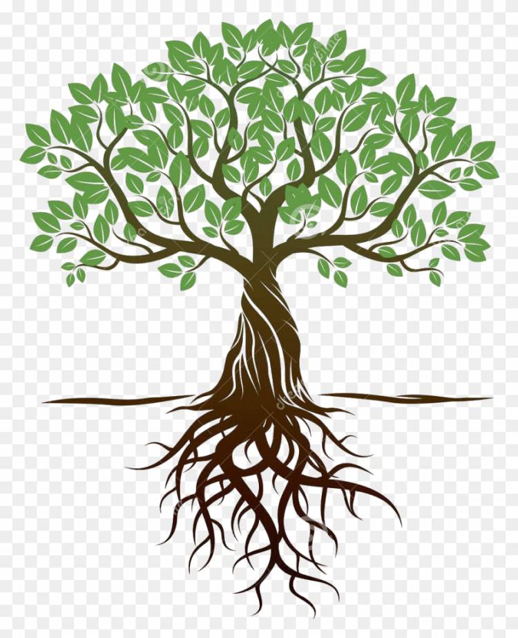 Дерево с корнями картинка