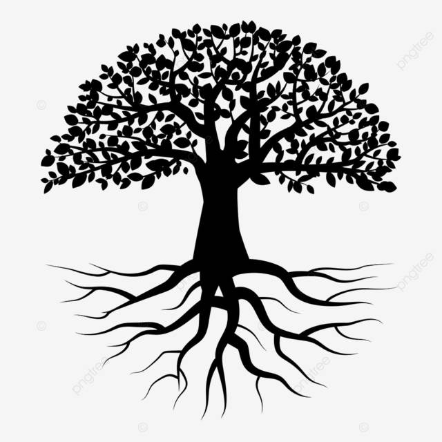 черное дерево с корнями PNG , задний план, лес, дерево PNG картинки и пнг рисунок для бесплатной загрузки