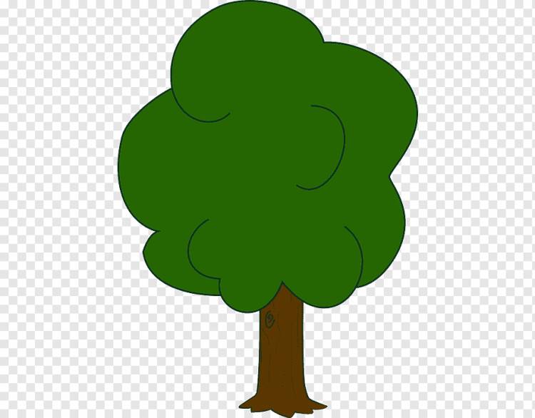 Рисовать деревья дуб рисунок, дерево, лист, трава, завод Стебель png