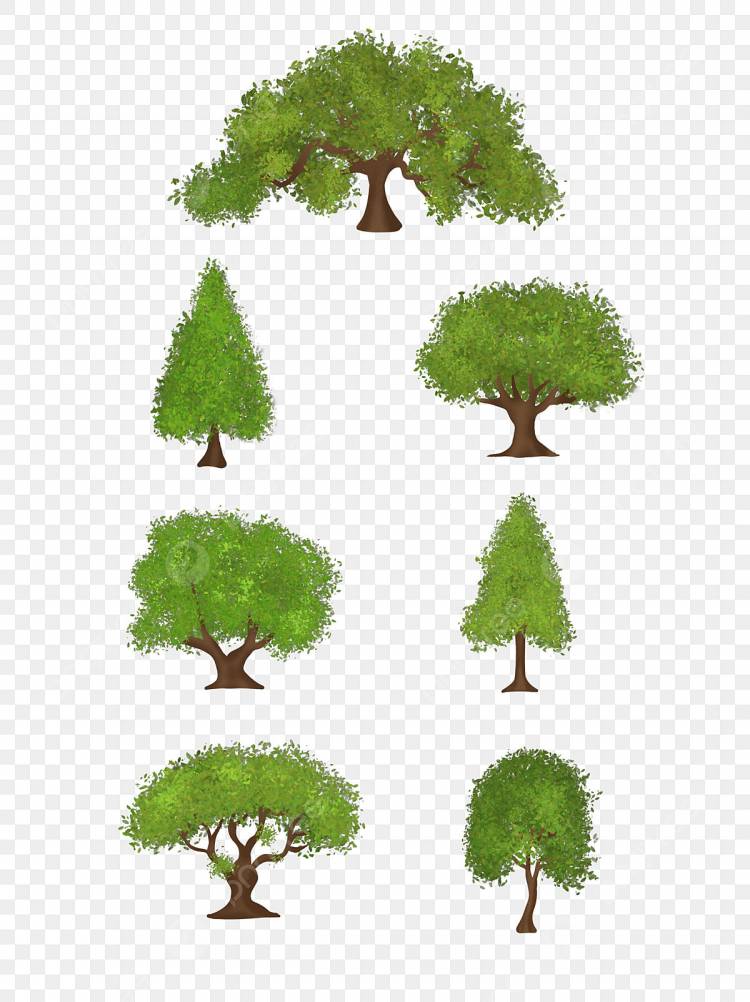 зеленые деревья PNG рисунок, картинки и пнг прозрачный для бесплатной загрузки