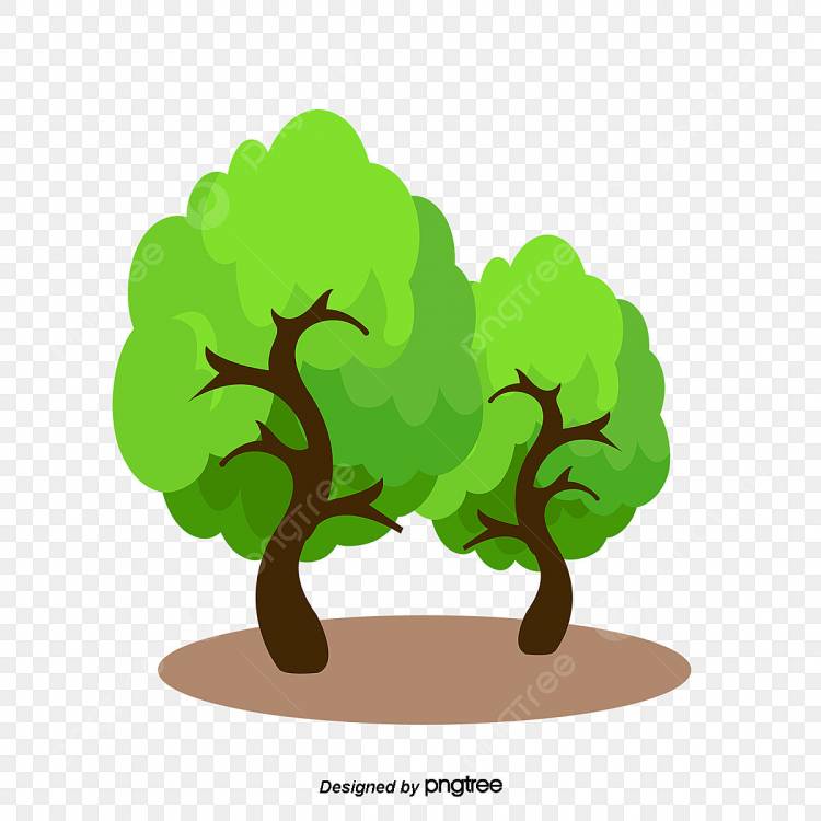 дерево рисунок PNG и картинки пнг