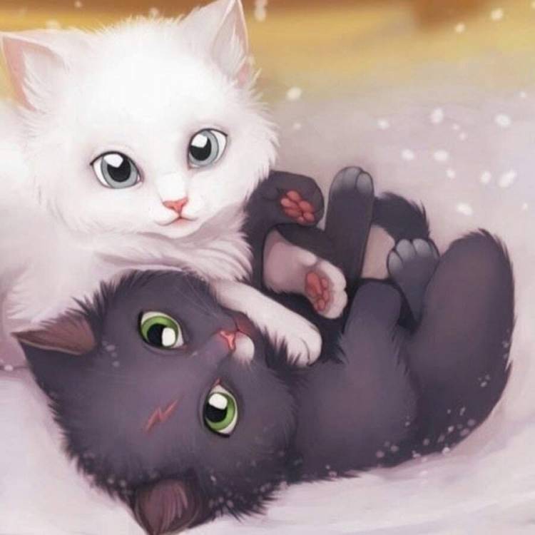 Два милых котика рисунок