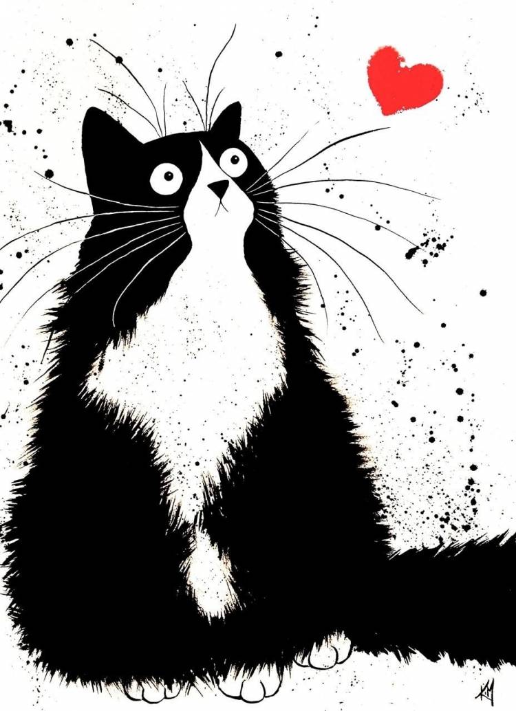 Черно белый котик рисунок
