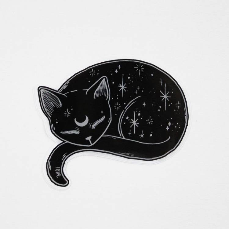 Красивый черно белый кот