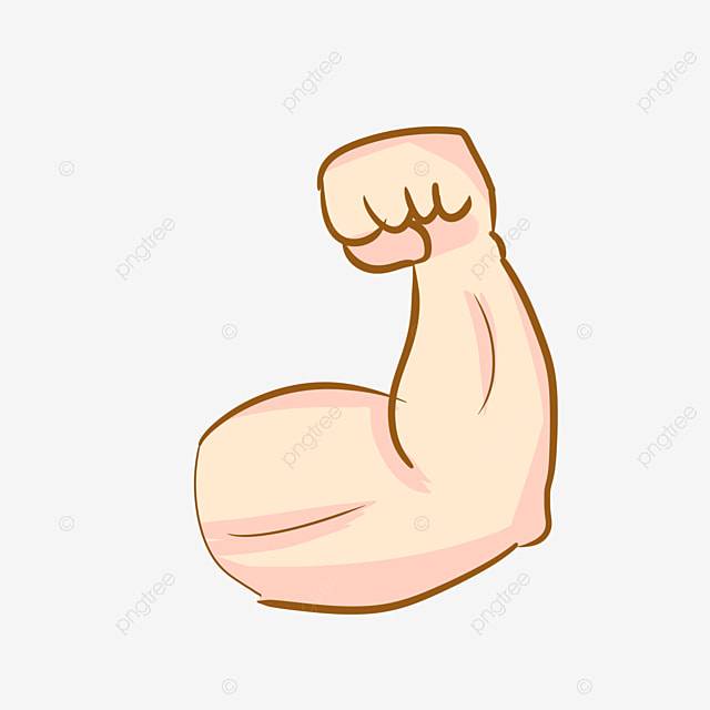 Мышца руки PNG , мышечный клипарт, Сила руки, мускул PNG картинки и пнг PSD рисунок для бесплатной загрузки