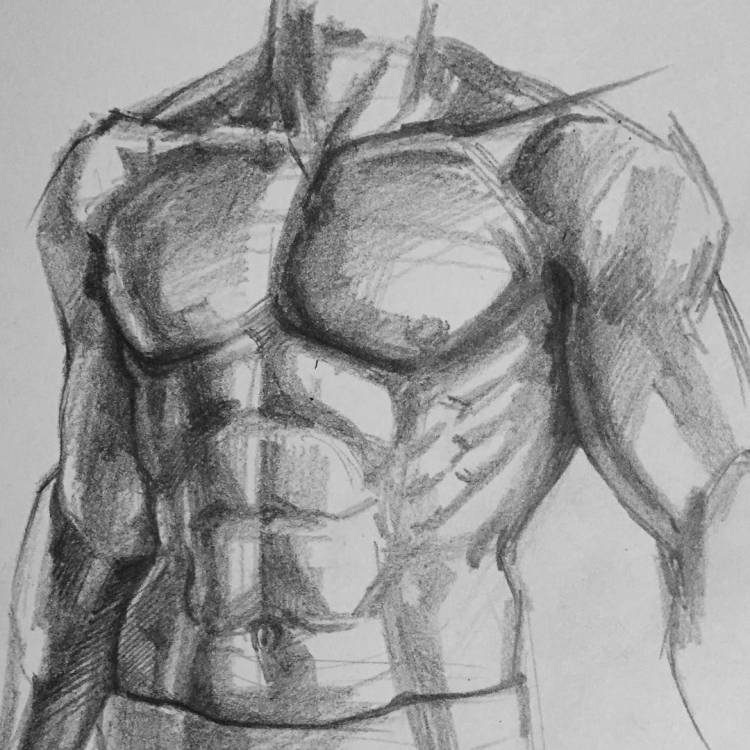 Как нарисовать мускулы