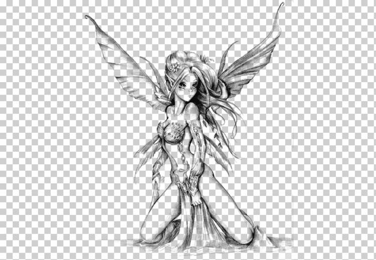 Рисунки аниме Fairy Sketch, Фея Татуировки с, монохромный, цветной, вымышленный персонаж png