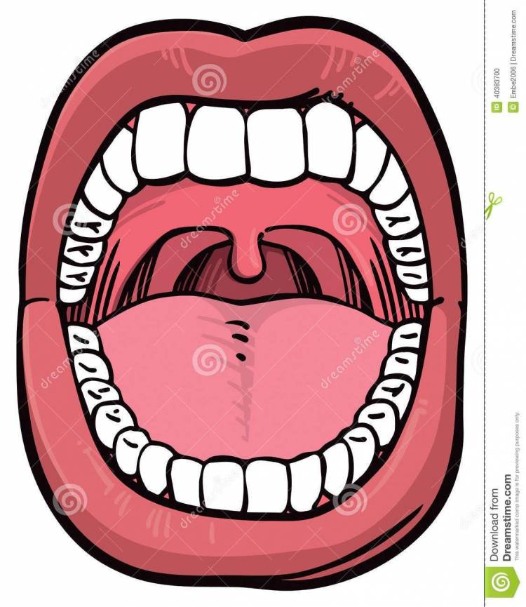 Рот с зубами рисунок