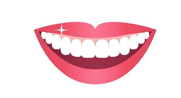 Зубы рот