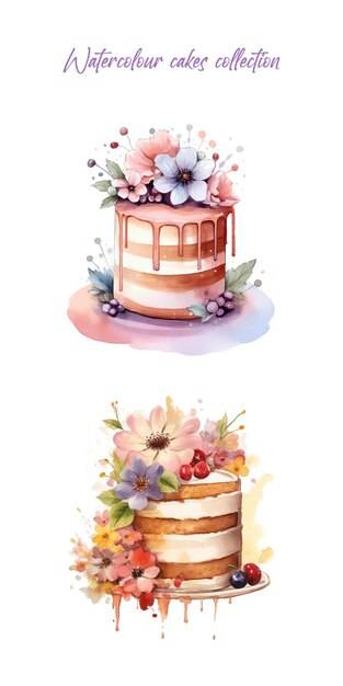 Акварельные торты с цветами десерты картинки изолированные кондитерская пекарня логотип меню десерты