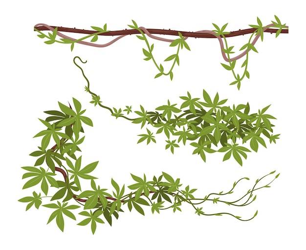 Лианы тропических лесов лианы джунглей растения тропические альпинистские лианы мультфильм экзотические лианы плоские векторные иллюстрации набор