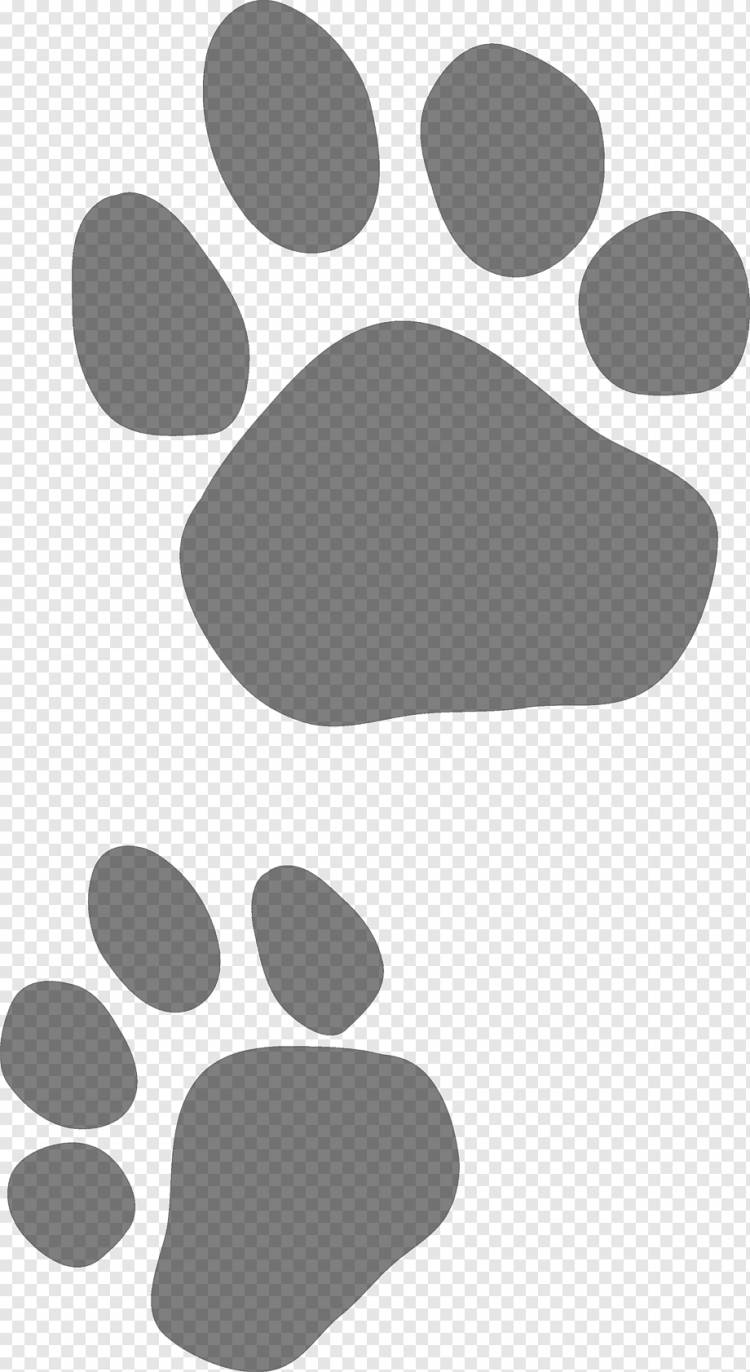 иллюстрация печати серая собака, щенок кота собаки, следы животных, прямоугольник, лапа, монохромный png