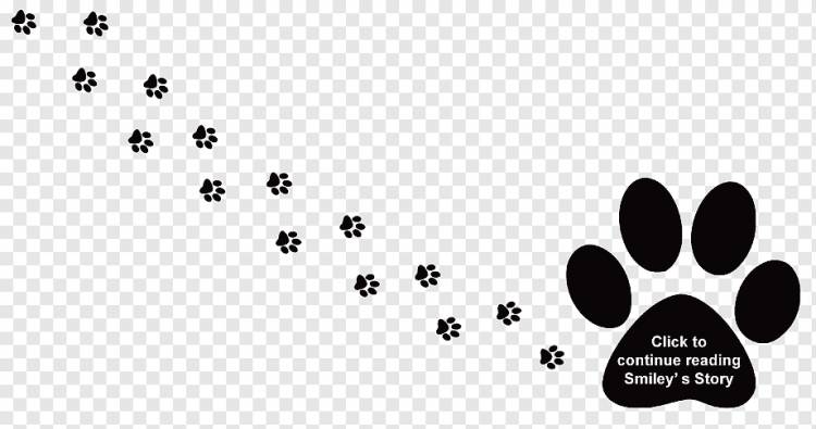Лапа лабрадор ретривер щенок кот, отпечатки лап, текст, лапа, логотип png