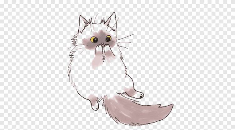 рисованной милый кот, мультфильм кошка, животное png