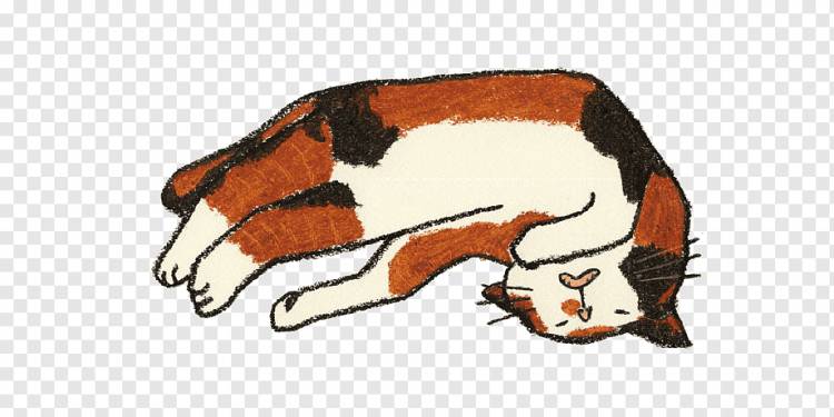 Иллюстрация кота, нарисованная от руки иллюстрация спящего кота, млекопитающее, нарисовано, животные png