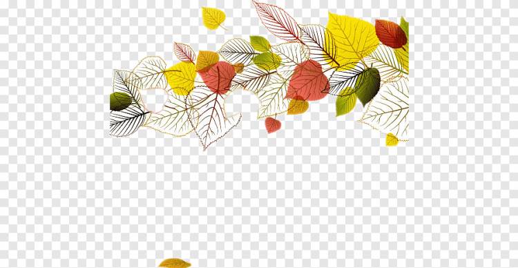 ручная роспись листьев фон, нарисованная фигура, фиговые листья png