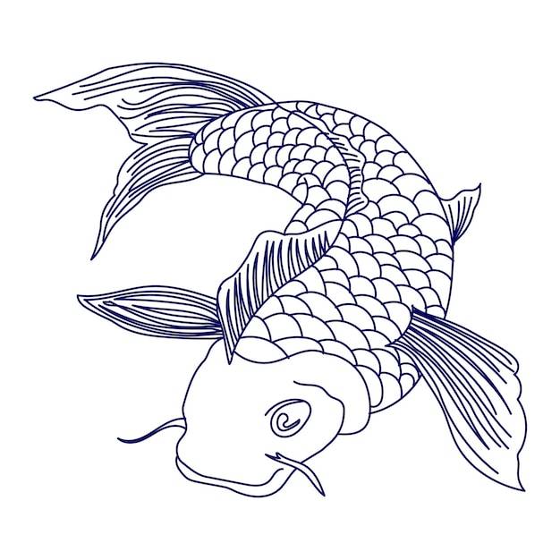 Эскиз нарисован контур рыбы сом на белом фоне печать картинки дизайн для раскраски страницы