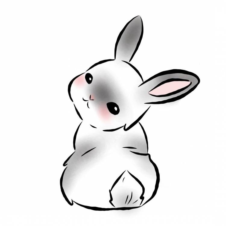 Кролик простой рисунок