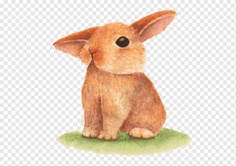 Домашний кролик Пасхальный заяц, ручная роспись кролика, Акварельная живопись, коричневый, нарисованный png