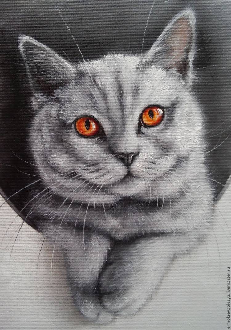 Серый кот нарисованный