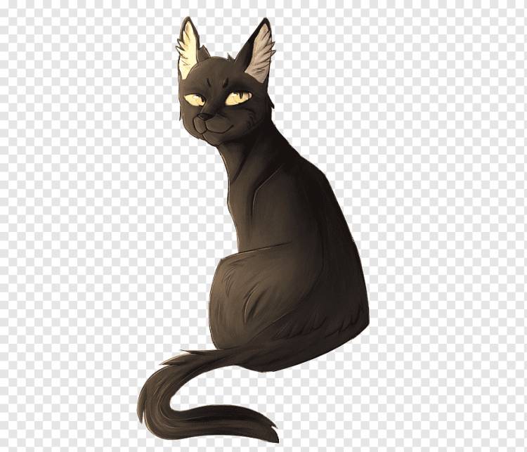 Корат Домашняя короткошерстная кошка Усы Воины Рассвет, серый кот, млекопитающее, кошка, как млекопитающее png