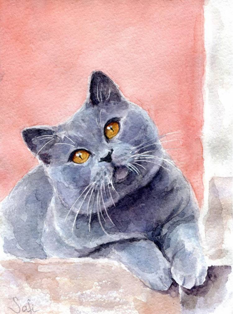 Серый кот нарисованный