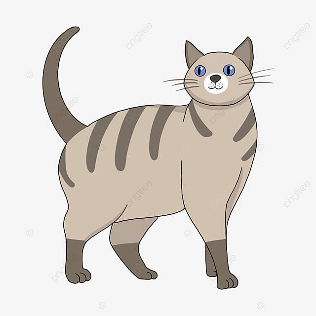 Мультяшный рисованной серый кот клипарт PNG , серый, мультфильм, Ручной росписью PNG картинки и пнг PSD рисунок для бесплатной загрузки