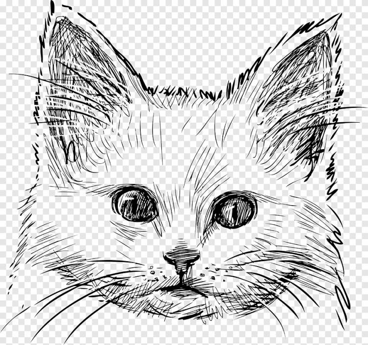 Котенок Кот рисунок, кот логотип, акварельная живопись, белый png