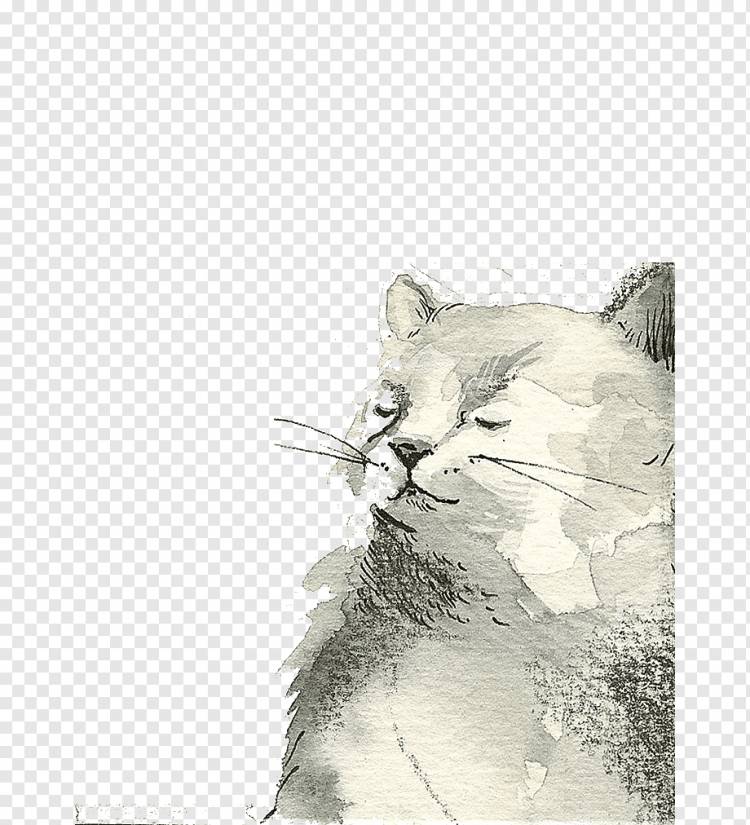 Картина серая кошка, Рисунок кота, Акварельная иллюстрация, Белый кот, белый, млекопитающее, животные png