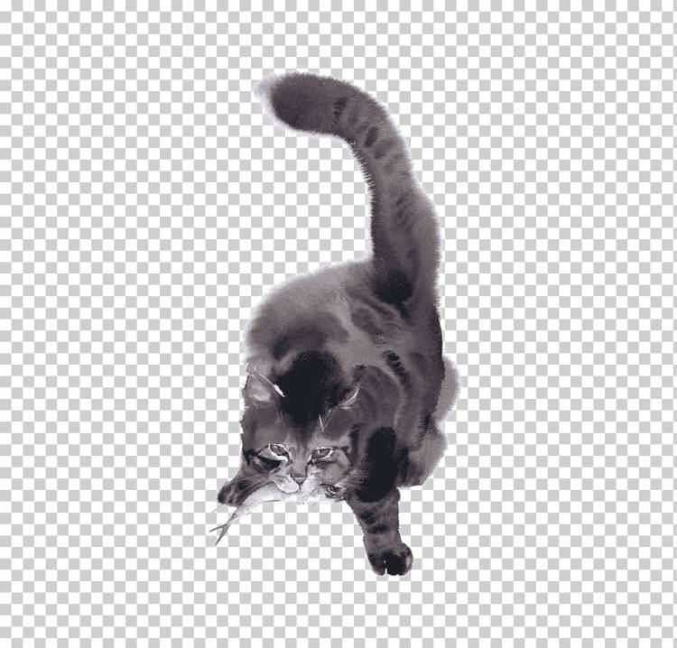 Кот Акварельная живопись Рисунок Иллюстрация, Серый кот, нарисованный, животные, кошка png