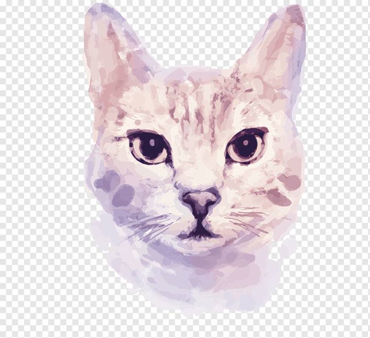 иллюстрация серая кошка, кот котенок акварельная живопись иллюстрация, кот ручная роспись, млекопитающее, нарисованное, кошка png